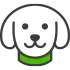 Pet Insurance